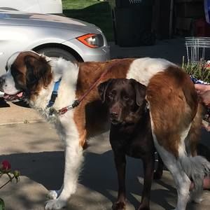 Meet your Posher, Brent